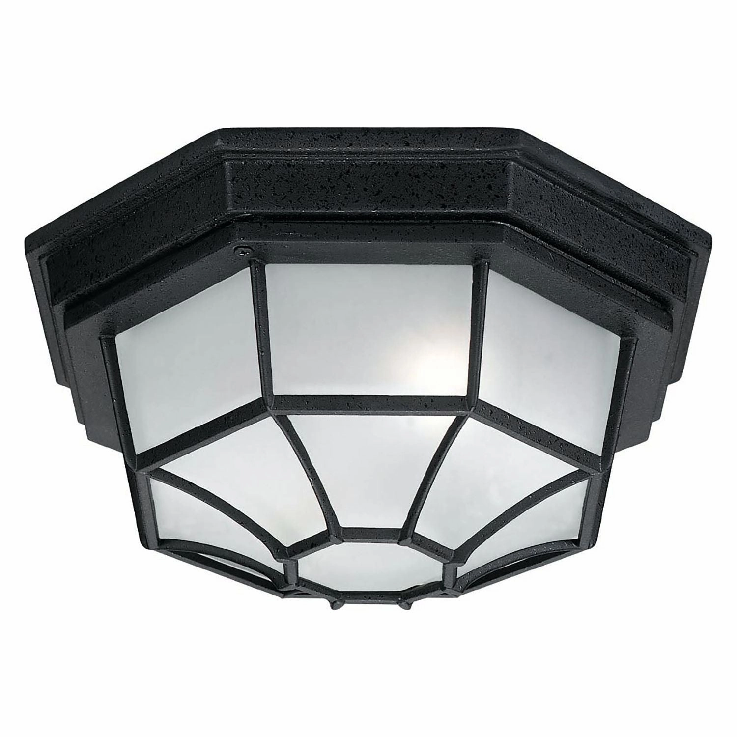 2-Light Outdoor Flush MountWeatherproof outdoor lighting