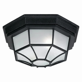 2-Light Outdoor Flush MountWeatherproof outdoor lighting