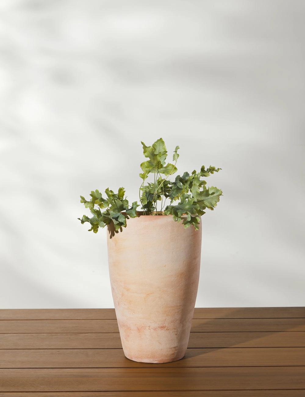 Abrielle Planter (Set of 2) by Campania International -  -