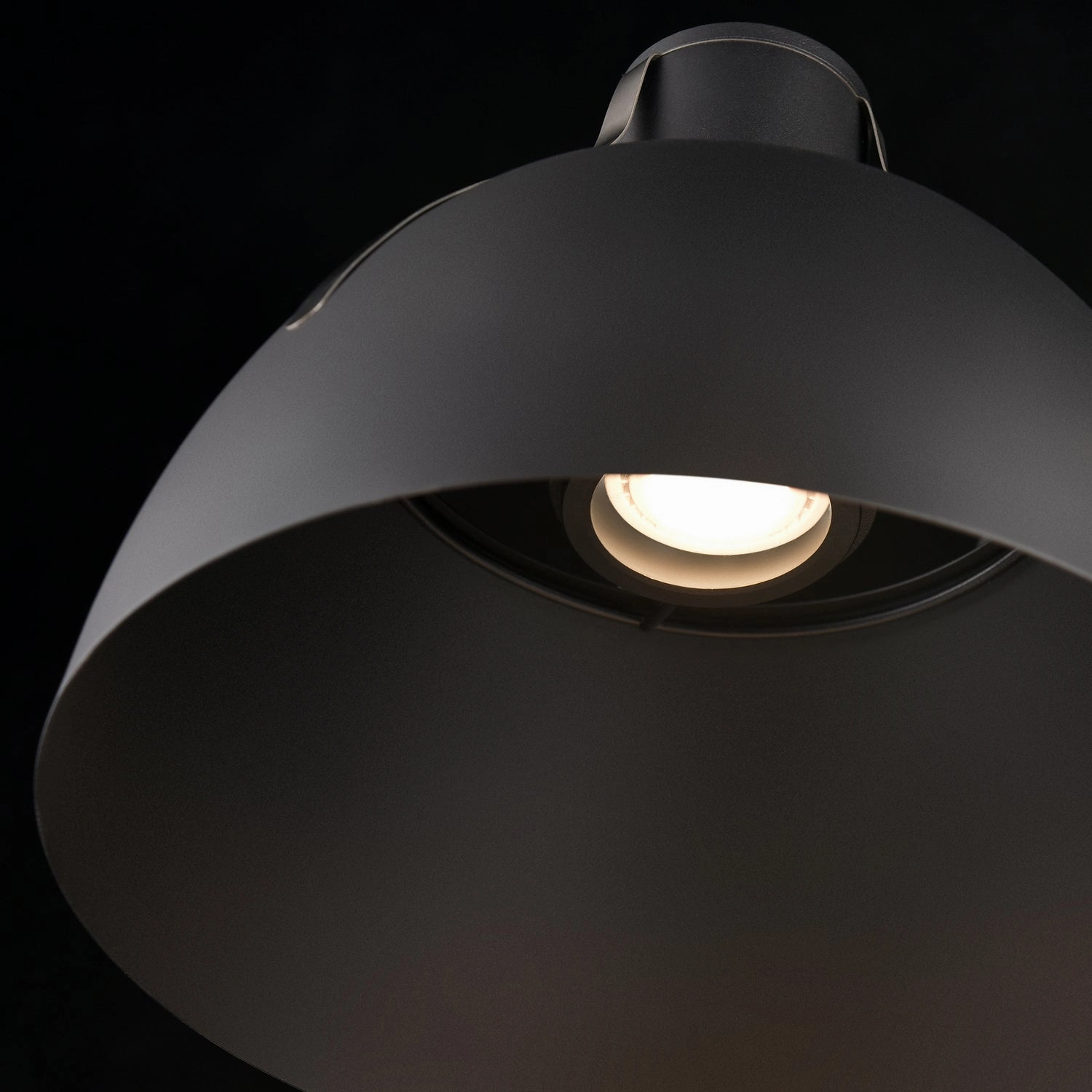 Alcenon Outdoor One Light Wall Sconce Black/Stainless Steel