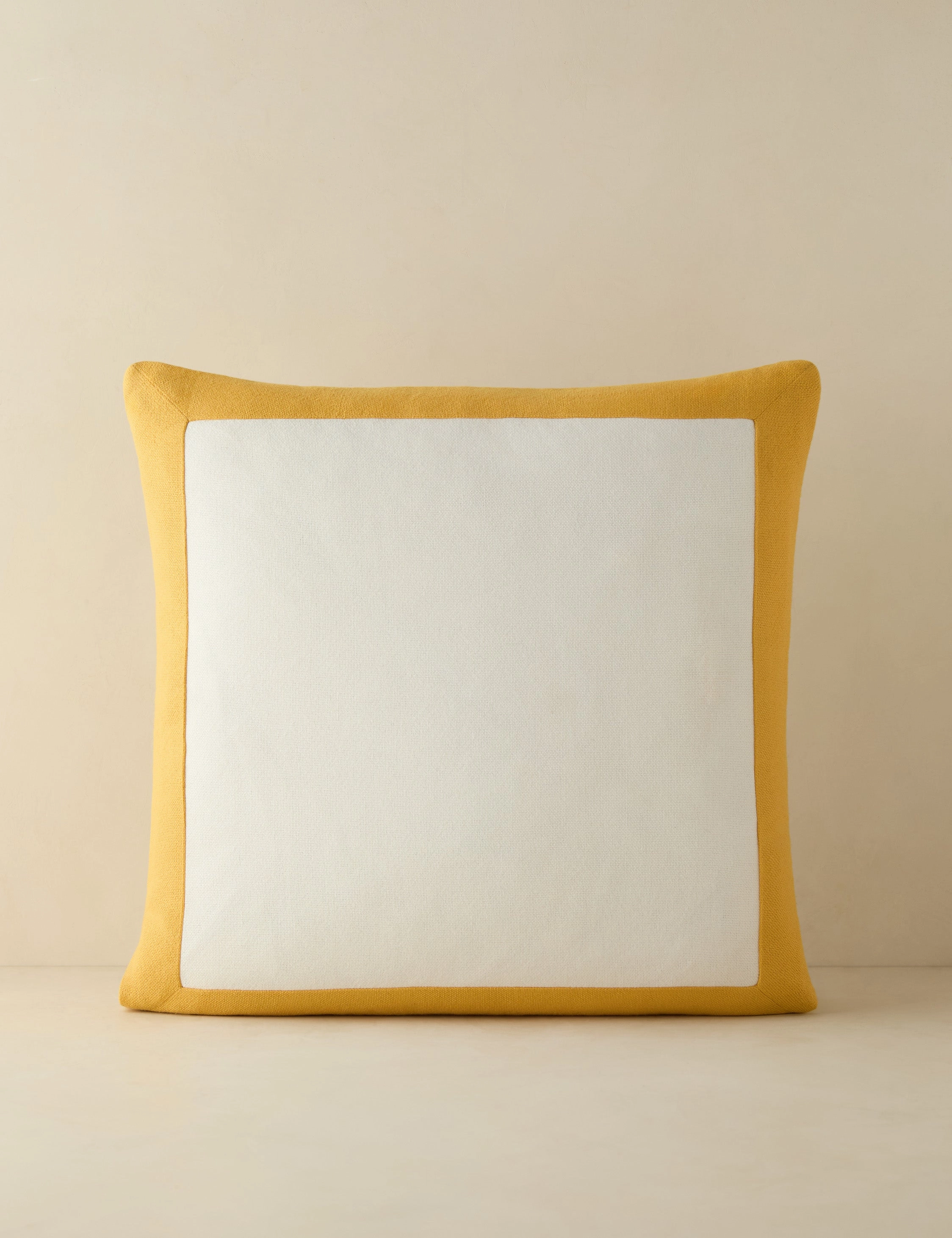Amica Indoor / Outdoor Pillow