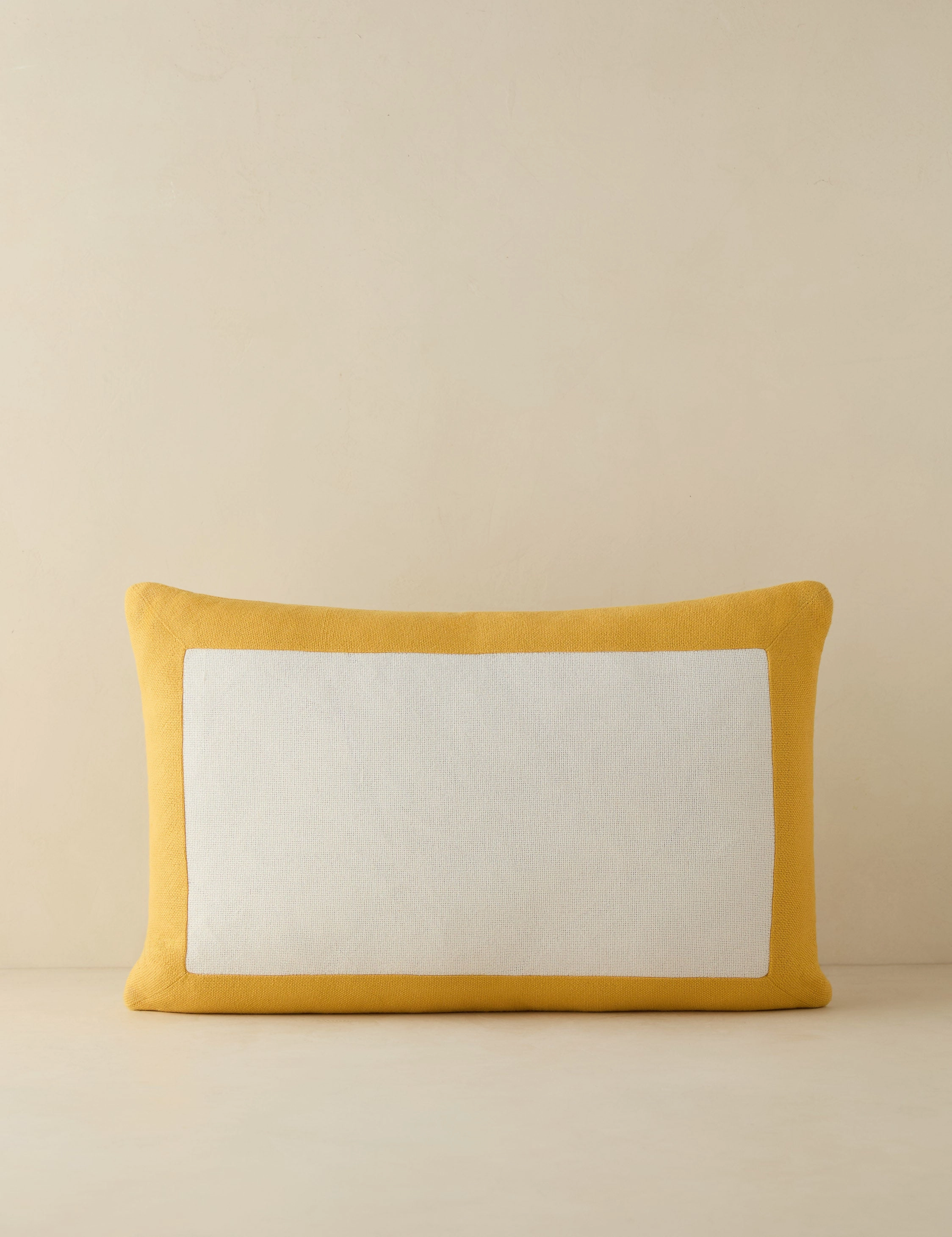 Amica Indoor / Outdoor Pillow