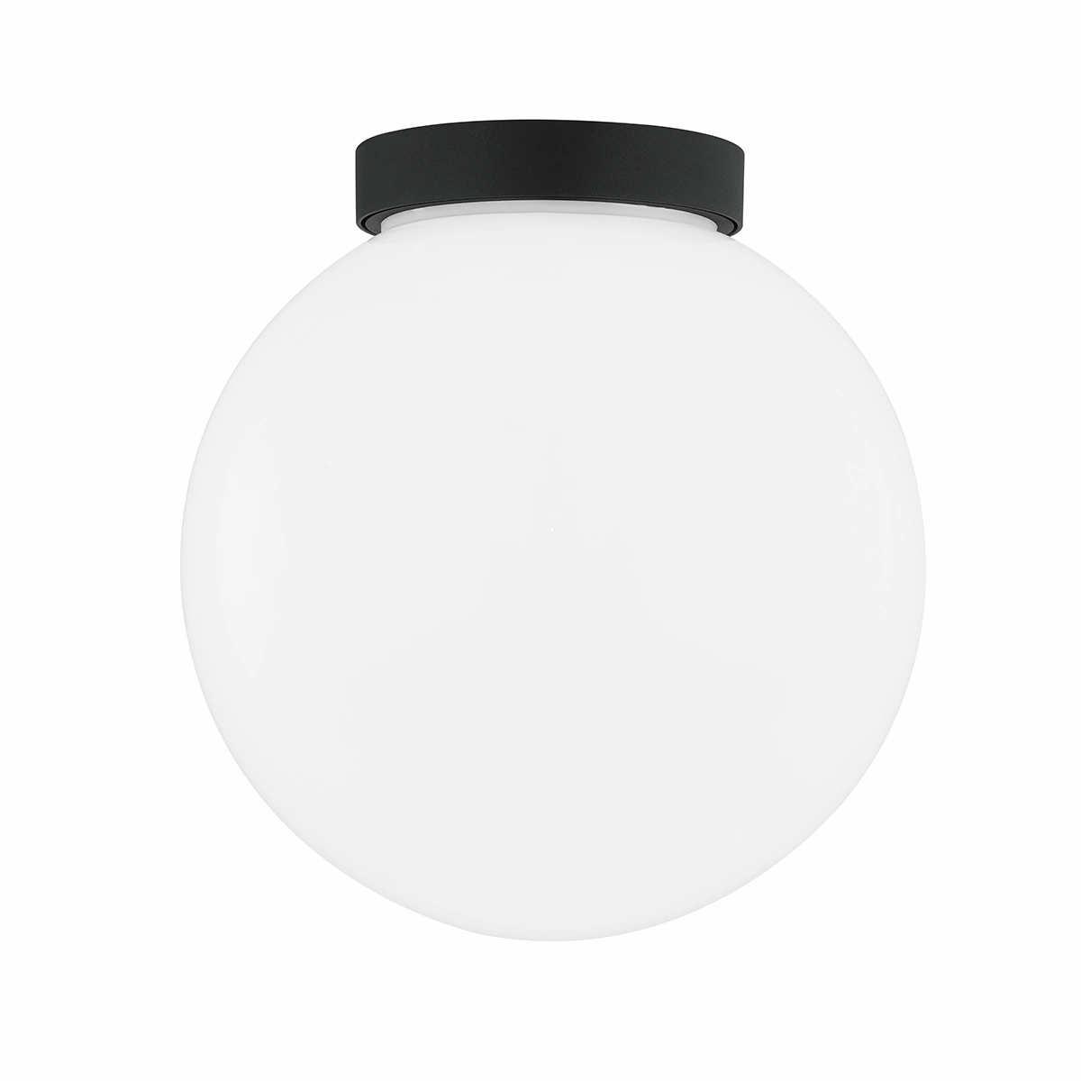 Ansel 1-Light Medium Outdoor Wall LightWeatherproof outdoor lighting