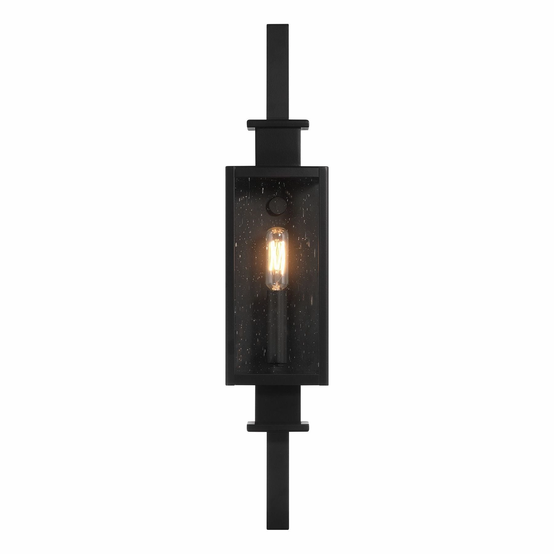 Ascott 1-Light Outdoor Wall Lantern