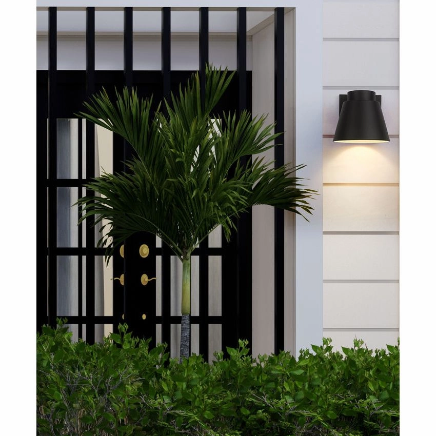 Asher 1-Light Outdoor Wall Light