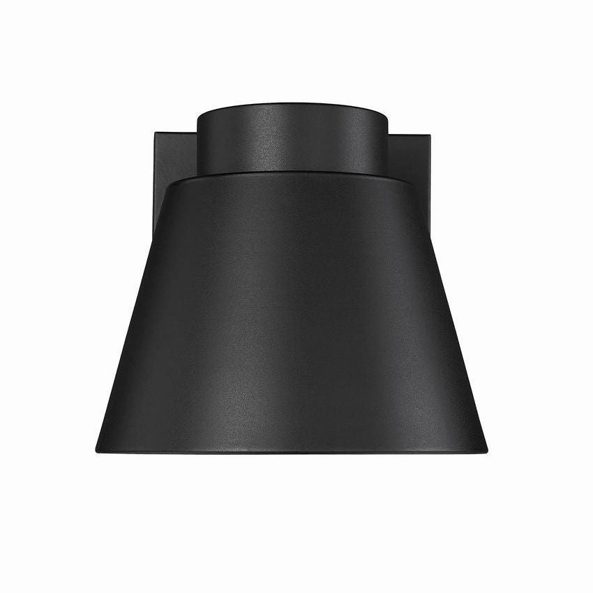 Asher 1-Light Outdoor Wall Light