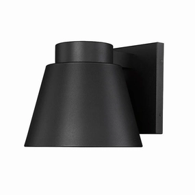 Asher 1-Light Outdoor Wall LightWeatherproof outdoor lighting