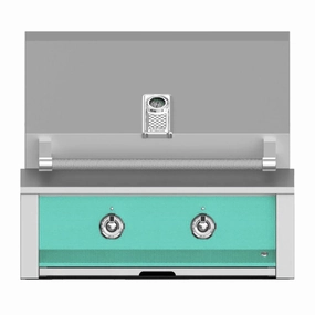 Aspire by Hestan 30-Inch Built-In Grill with Burner and Sear EMB30-NG-TQ compact BBQ grill for small spaces