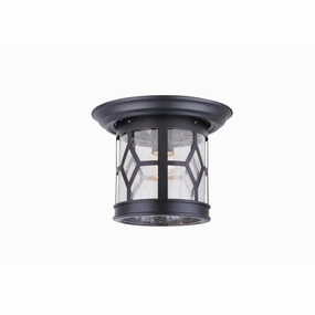 Atlanta Outdoor Ceiling LightWeatherproof outdoor lighting