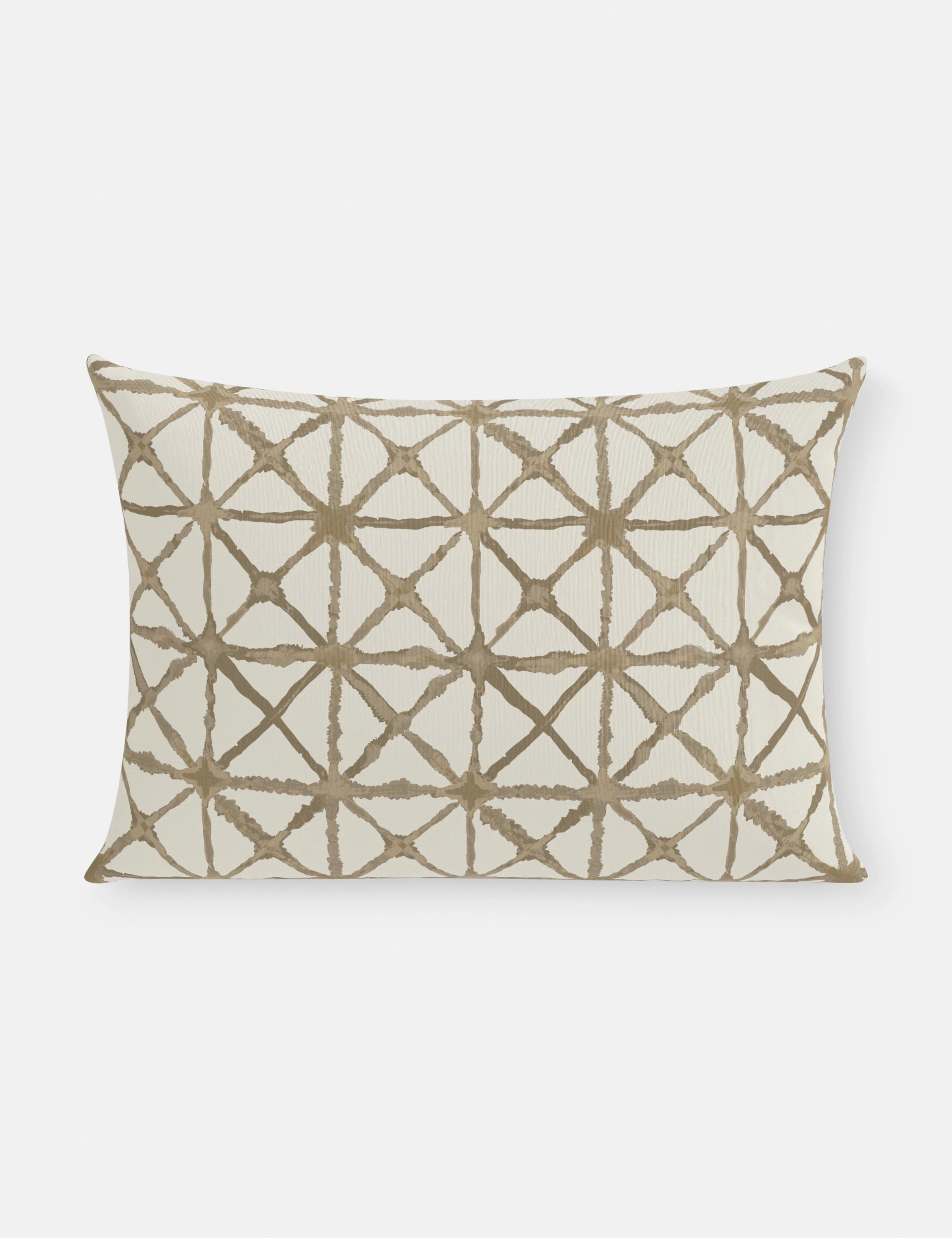 Azara Indoor / Outdoor Pillow