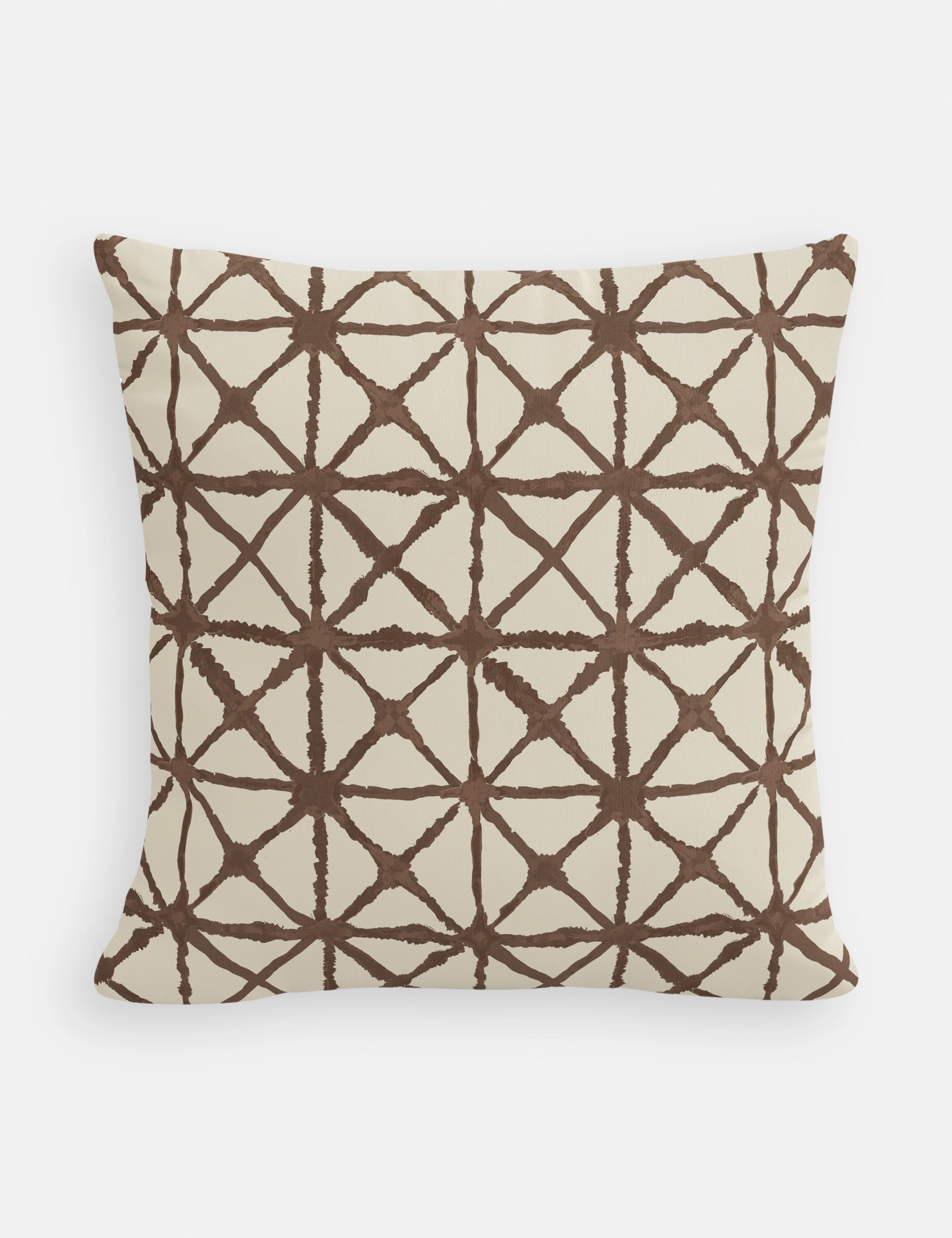 Azara Indoor / Outdoor Pillow