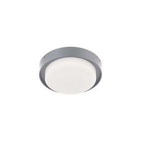 Bailey Outdoor Ceiling LightWeatherproof outdoor lighting