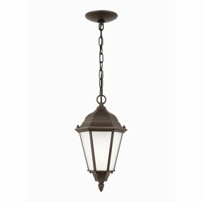 Bakersville 1-Light Outdoor Pendant (with Bulb)Weatherproof outdoor lighting