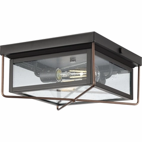 Barlowe Outdoor Ceiling LightWeatherproof outdoor lighting