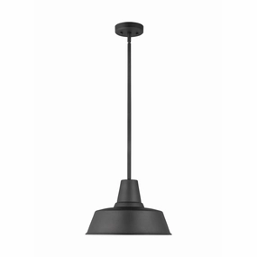 Barn Light 1-Light Outdoor PendantWeatherproof outdoor lighting