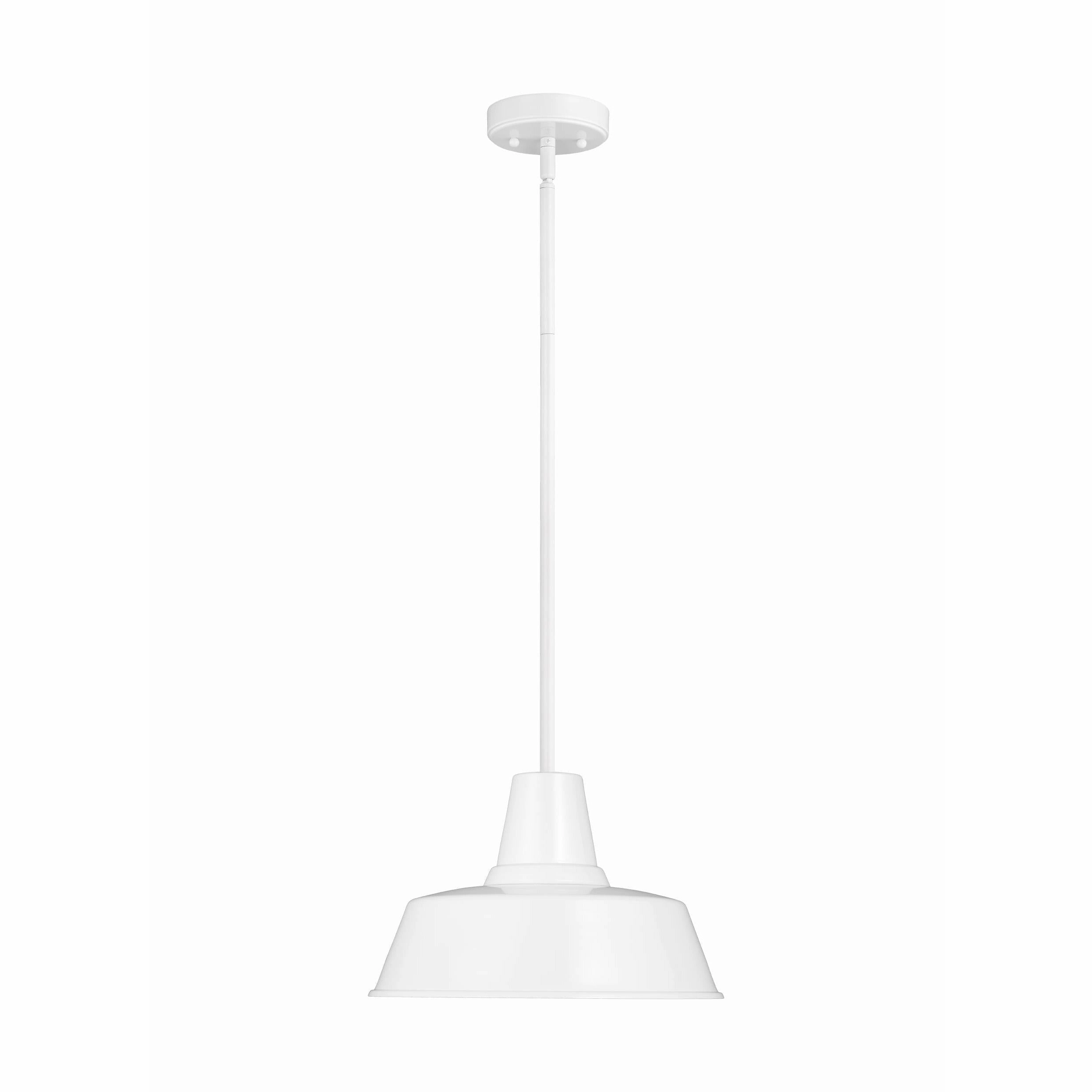 Barn Light 1-Light Outdoor Pendant