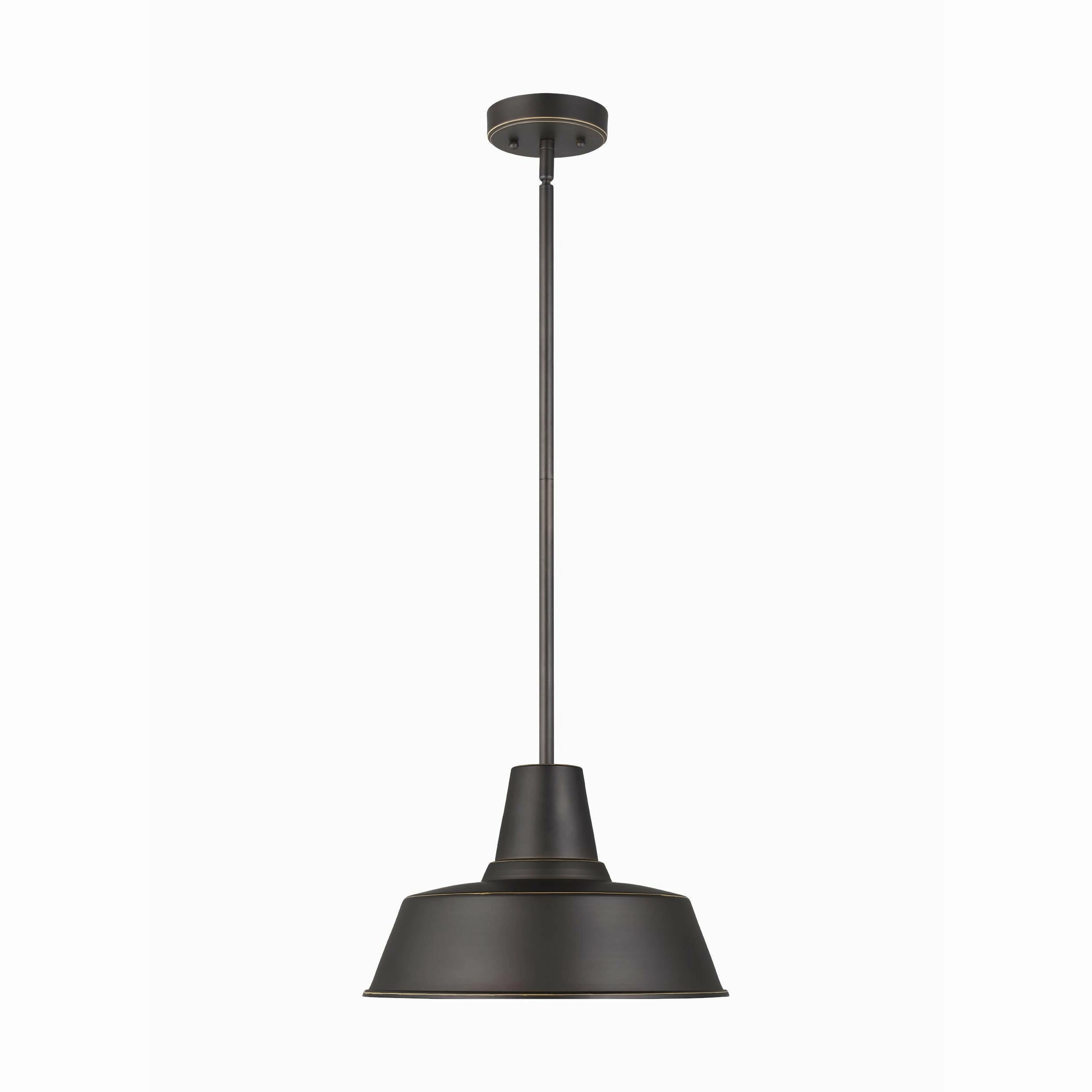 Barn Light 1-Light Outdoor Pendant