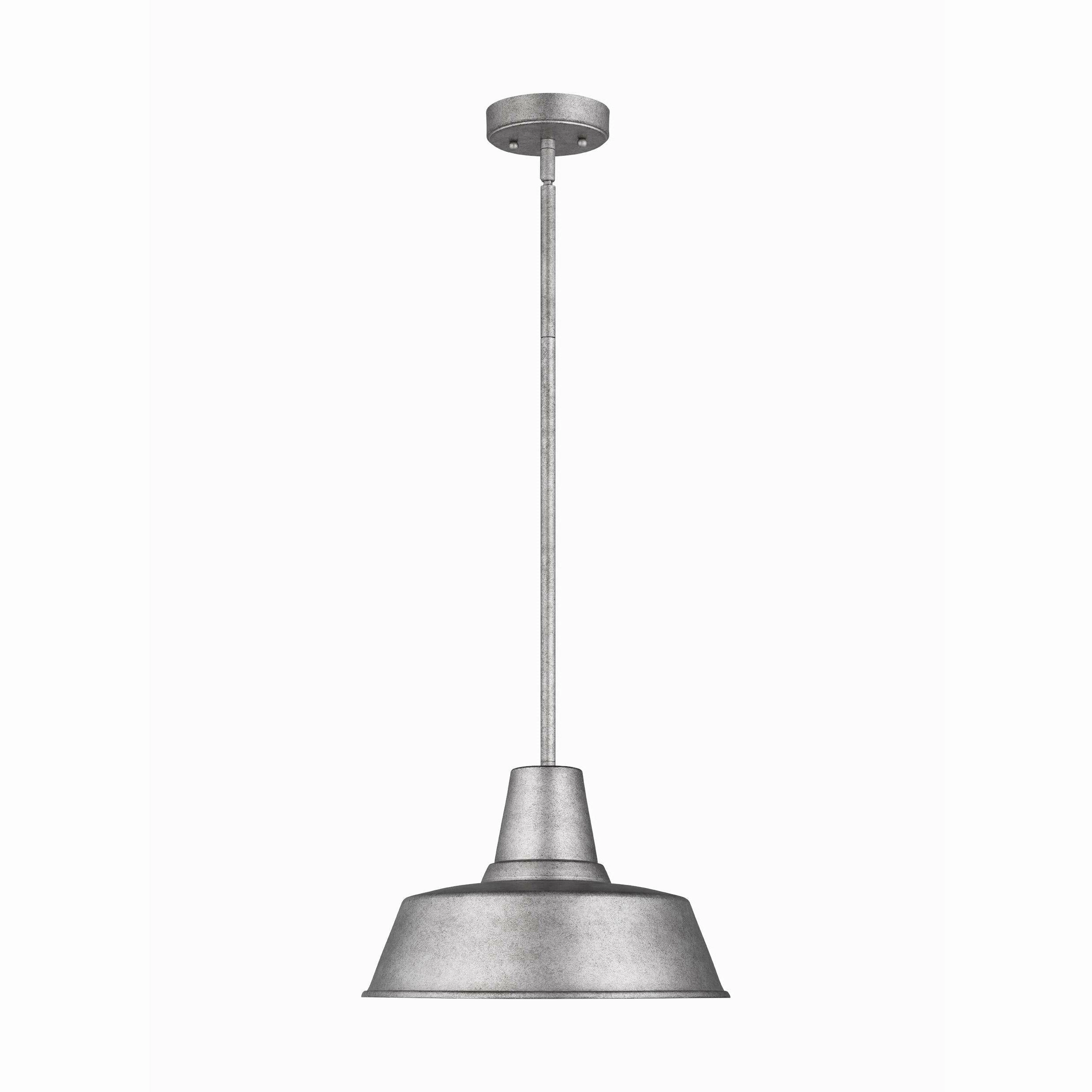 Barn Light 1-Light Outdoor Pendant