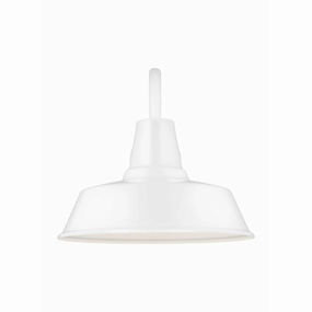 Barn-Light Extra Large 1-Light Outdoor Wall LightWeatherproof outdoor lighting