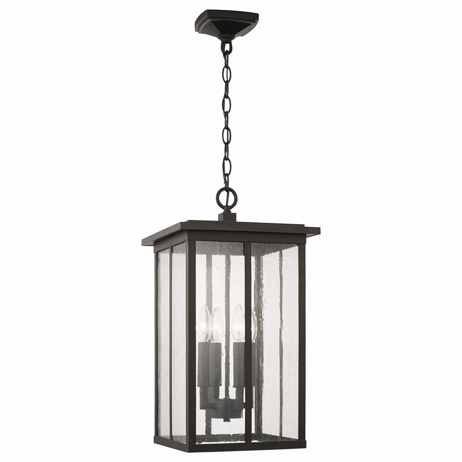 Barrett 4-Light Outdoor Hanging Lantern