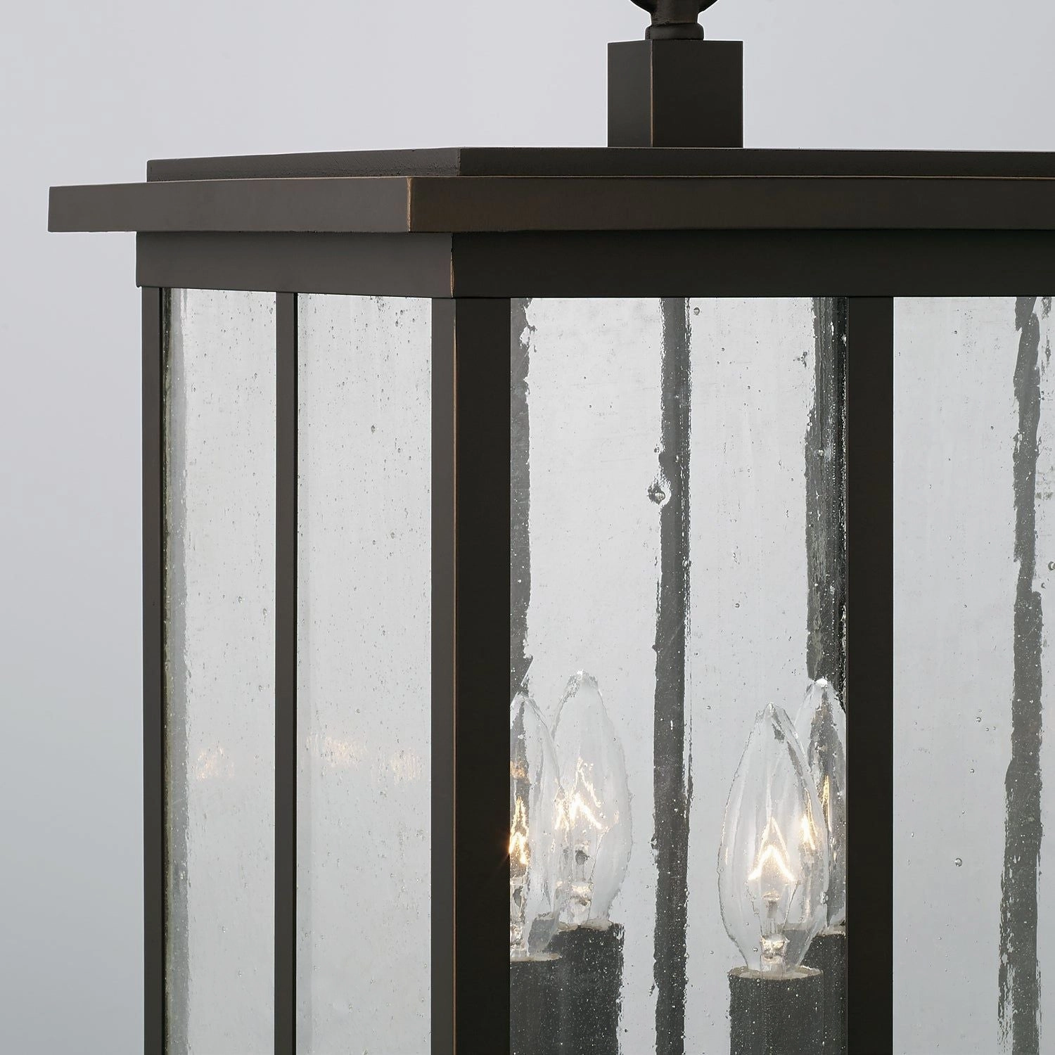 Barrett 4-Light Outdoor Hanging Lantern