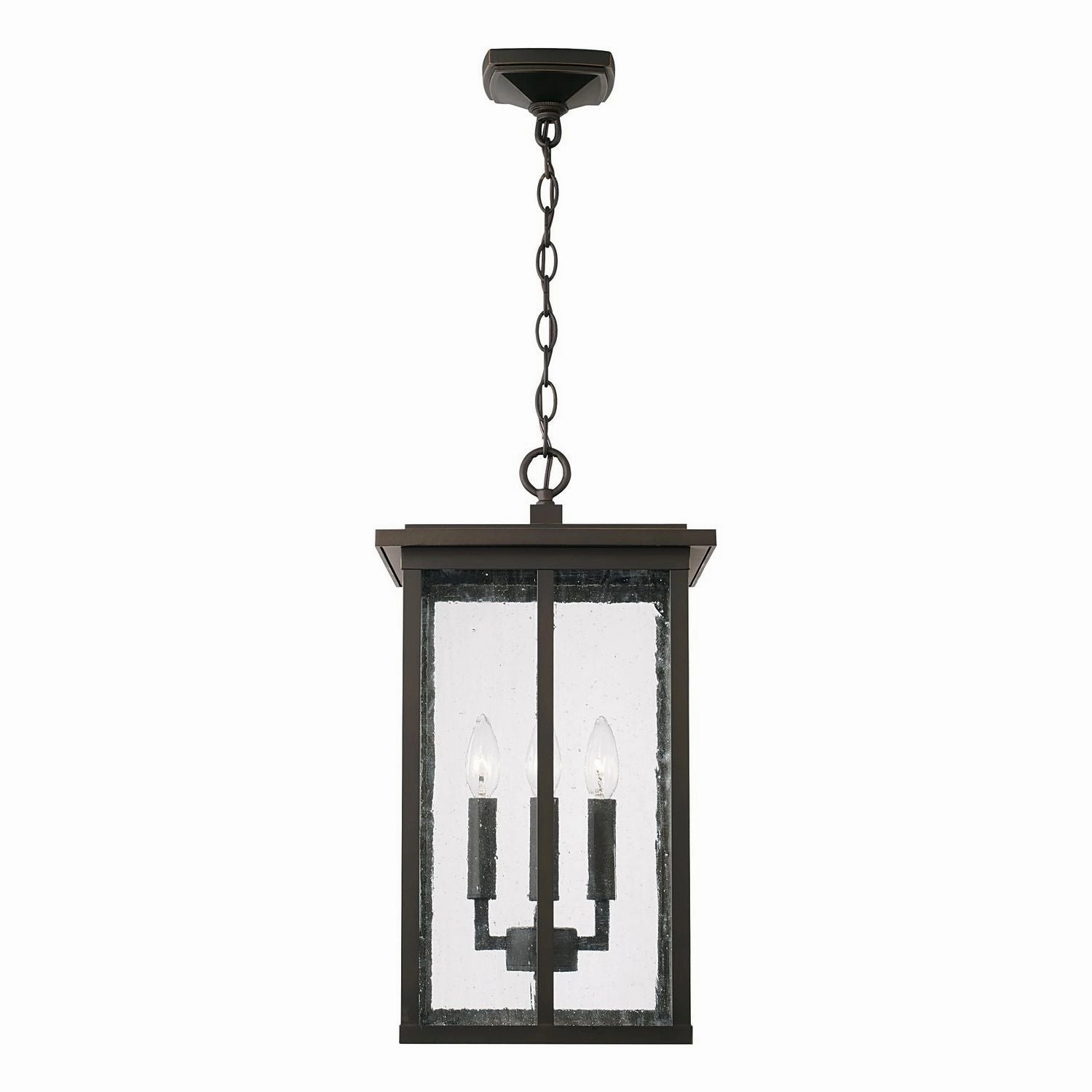 Barrett 4-Light Outdoor Hanging Lantern