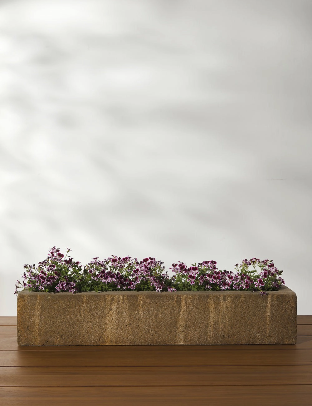 Basic Element Long Planter by Campania International -  - mini herb garden planters for kitchen