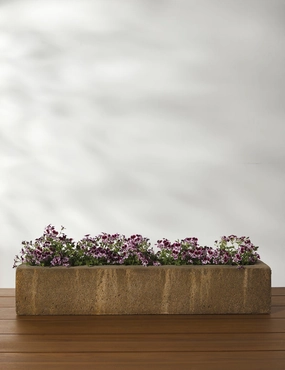 Basic Element Long Planter by Campania International -  - mini herb garden planters for kitchen