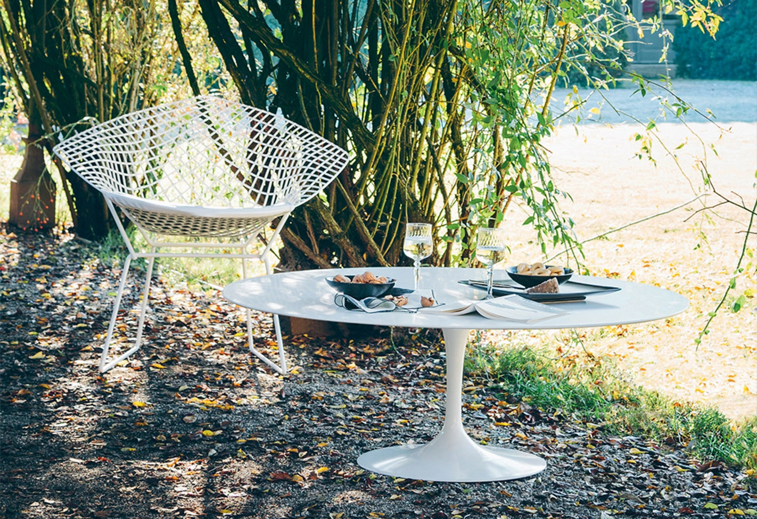 Bertoia Outdoor Diamond Chair