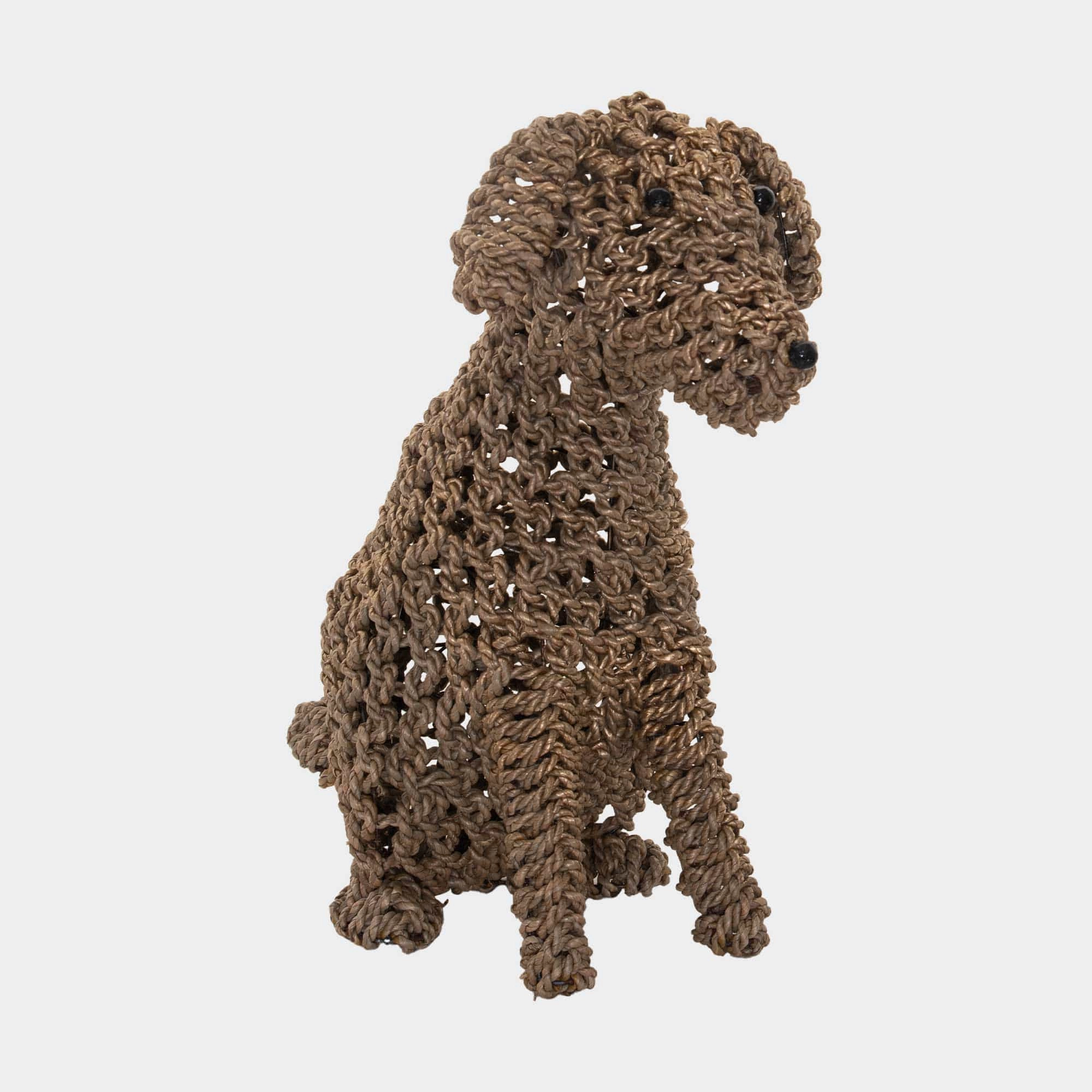 Biscuit - Seagrass Dog