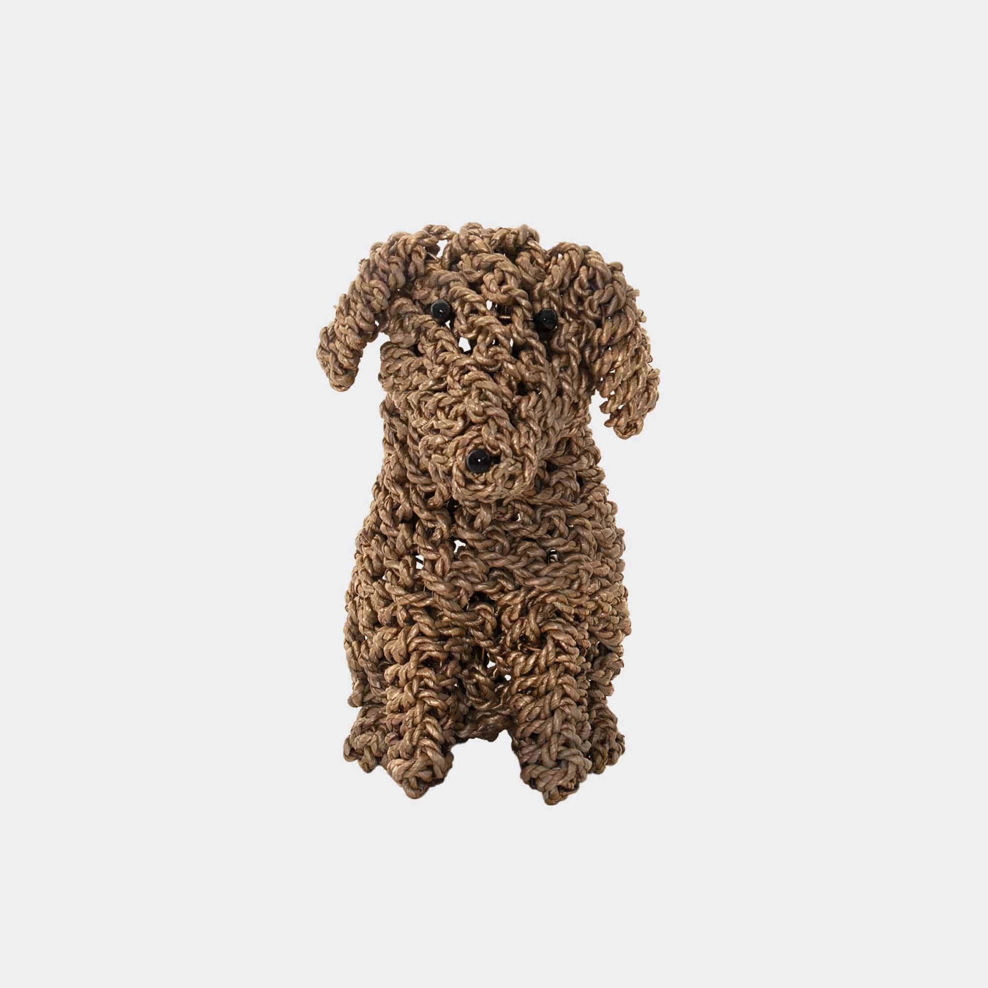 Biscuit - Seagrass Puppy