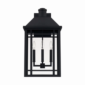 Braden 3-Light Outdoor Wall LanternWeatherproof outdoor lighting