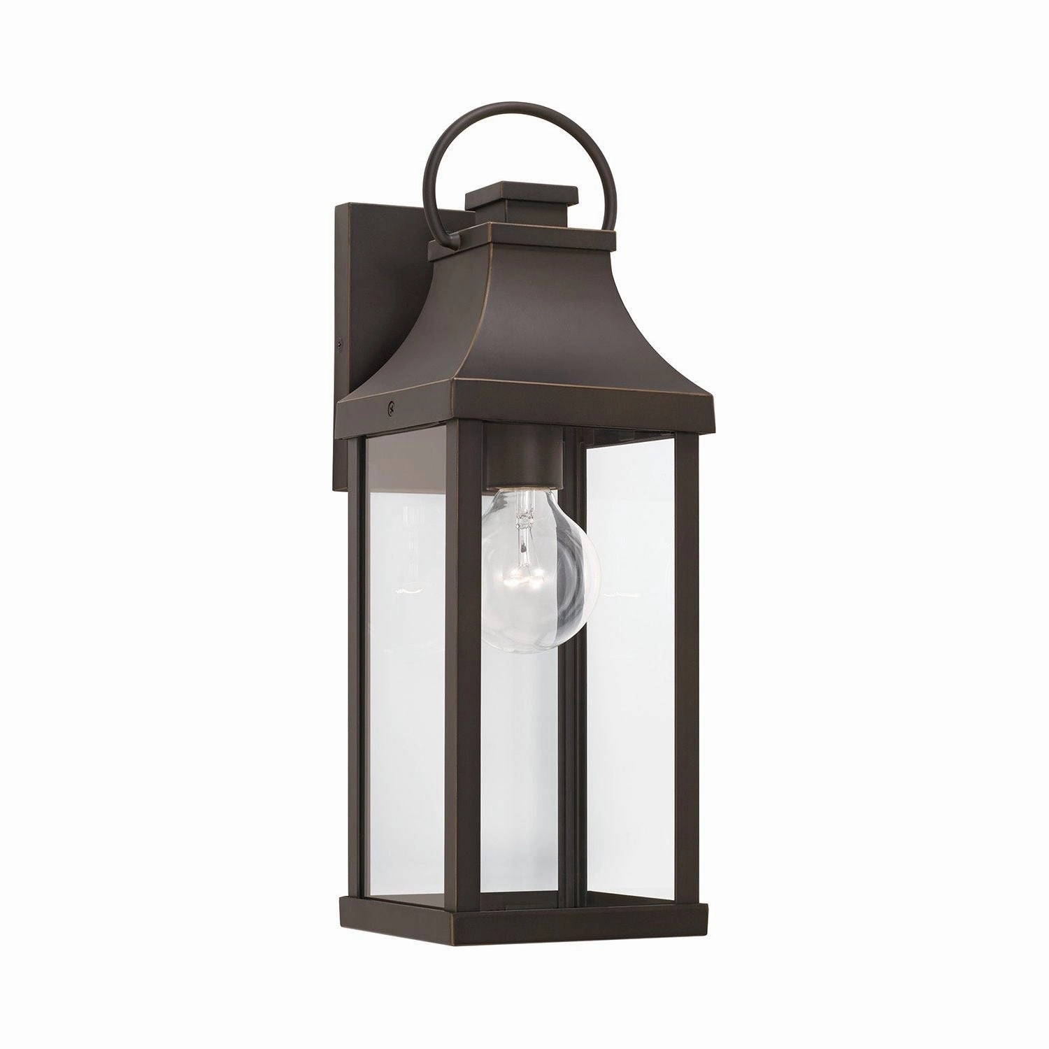 Bradford 1-Light Outdoor Wall Lantern