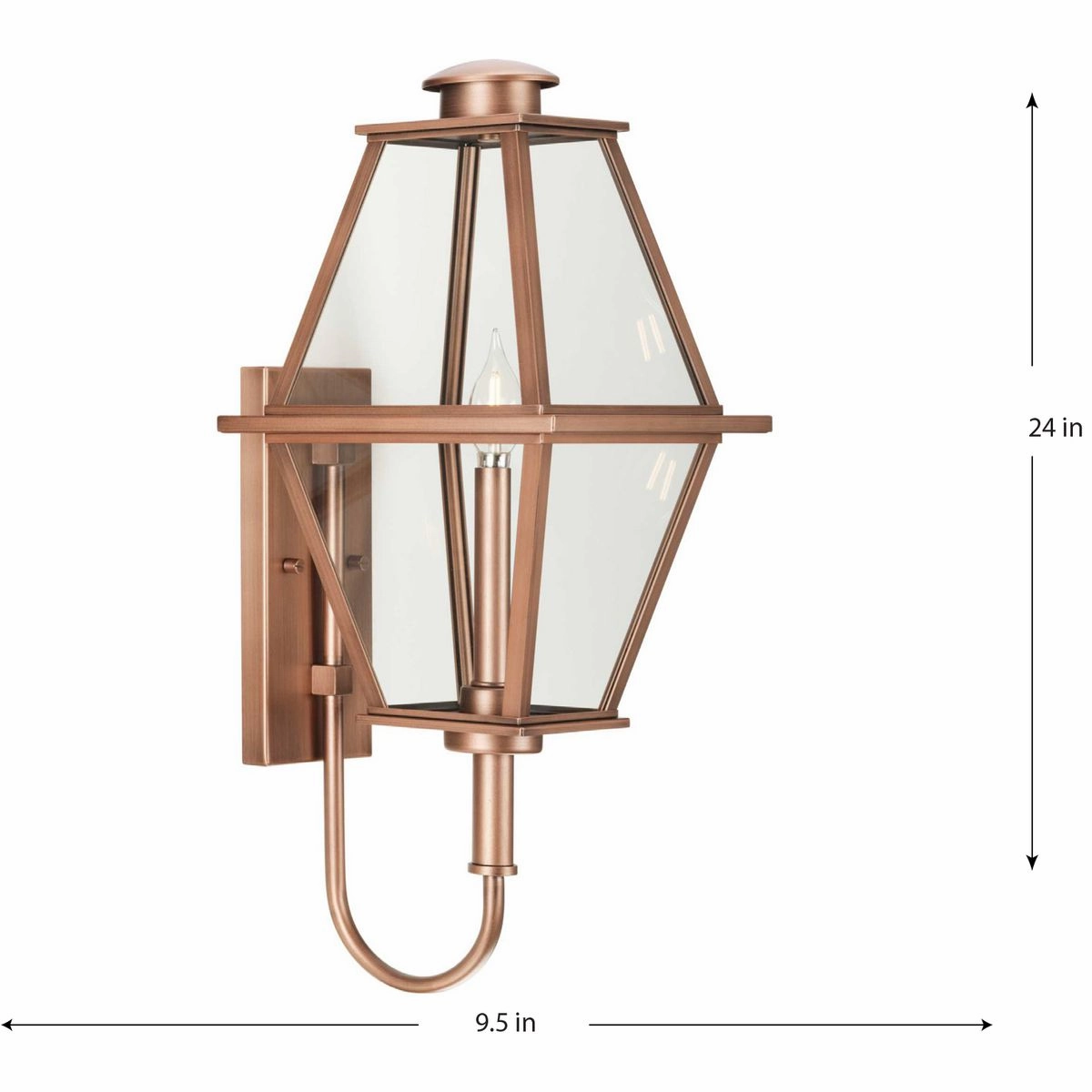 Bradshaw 1-Light Outdoor Wall Light