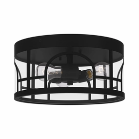 Brampton Outdoor Ceiling LightWeatherproof outdoor lighting