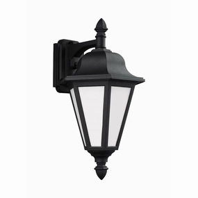 Brentwood Medium 1-Light Outdoor Wall LightWeatherproof outdoor lighting