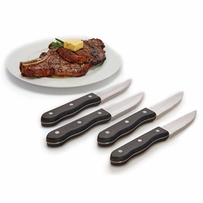 Broil King 4pc Stainless Steel Steak Knives - 64935Stainless steel BBQ tool set