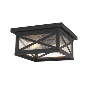 Brookside 2-Light Outdoor Ceiling LightWeatherproof outdoor lighting