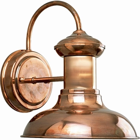 Brookside One Light Wall Lantern CognacOutdoor wall sconces with motion sensor