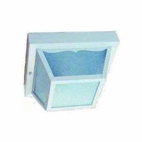 Builder's Choice Outdoor Ceiling LightWeatherproof outdoor lighting