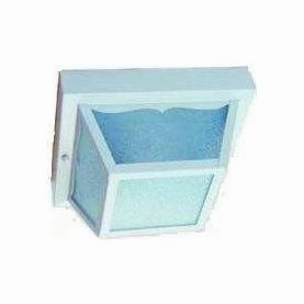 Builder's Choice Outdoor Ceiling LightWeatherproof outdoor lighting