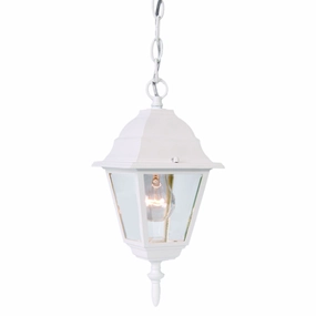 Builder's Choice Outdoor PendantWeatherproof outdoor lighting