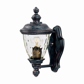 Carriage House DC Outdoor Wall LightWeatherproof outdoor lighting