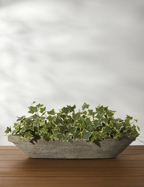 Cast Stone Tabletop Planters by Campania International mini herb garden planters for kitchen