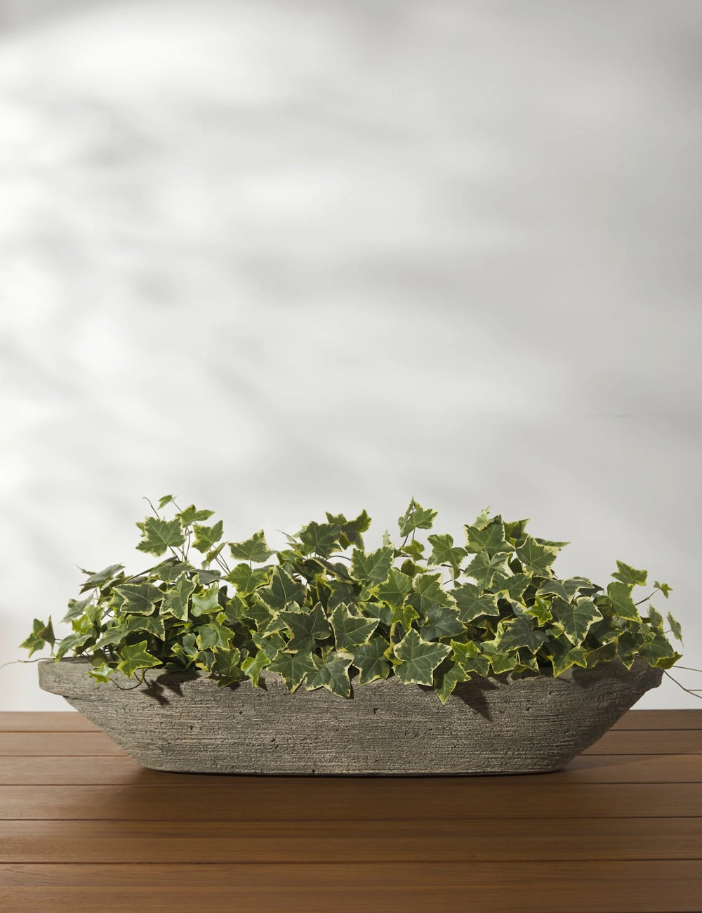 Cast Stone Tabletop Planters by Campania International mini herb garden planters for kitchen