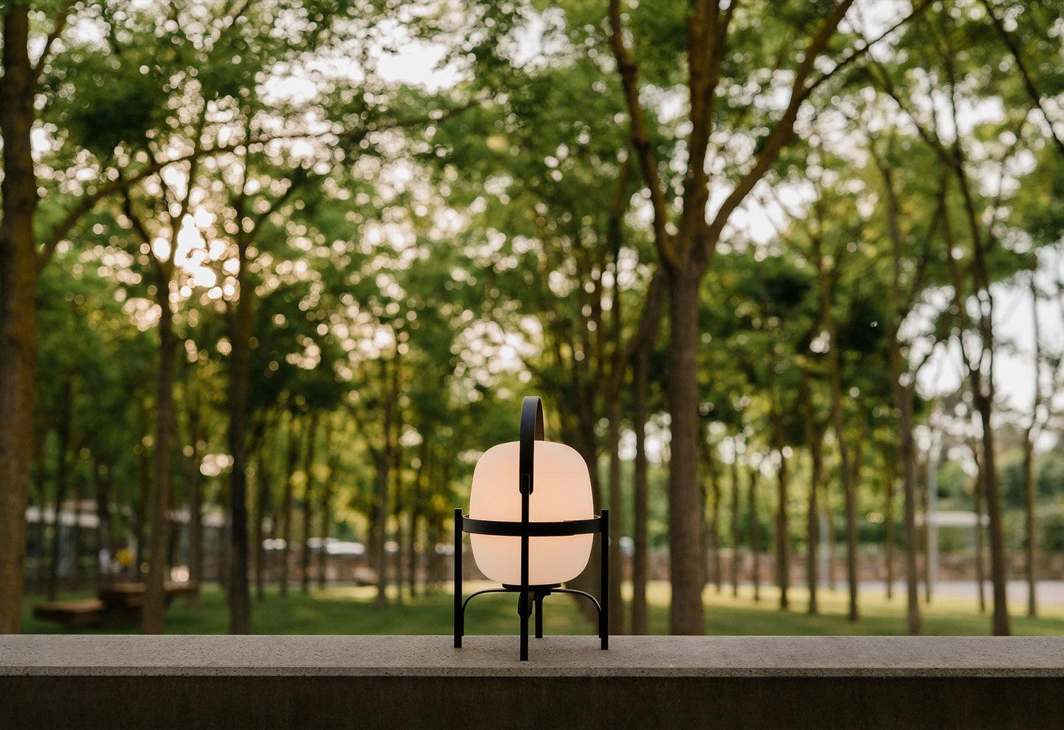 Cestita Alubat Table Lamp
