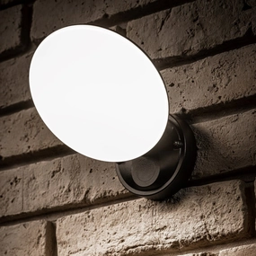CGC EZRA Slim Round Black LED Outdoor Wall Light 10W 1000lm 4000k Natural White LEDWeatherproof outdoor lighting