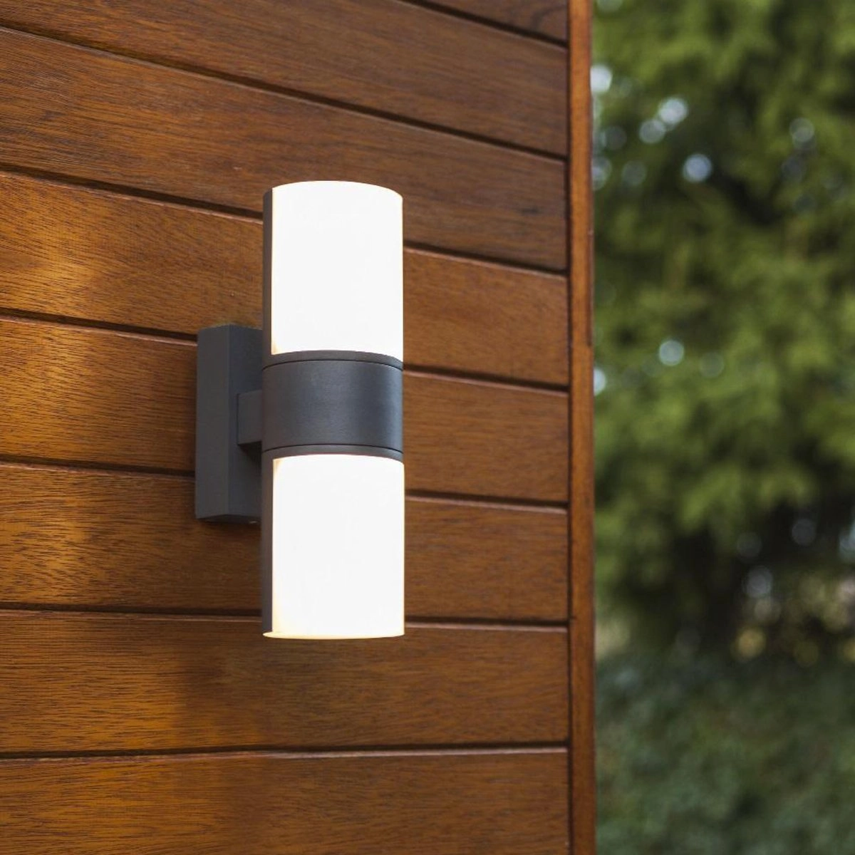 CGC FAITH Dark Grey Twin Cylindrical LED Wall Light