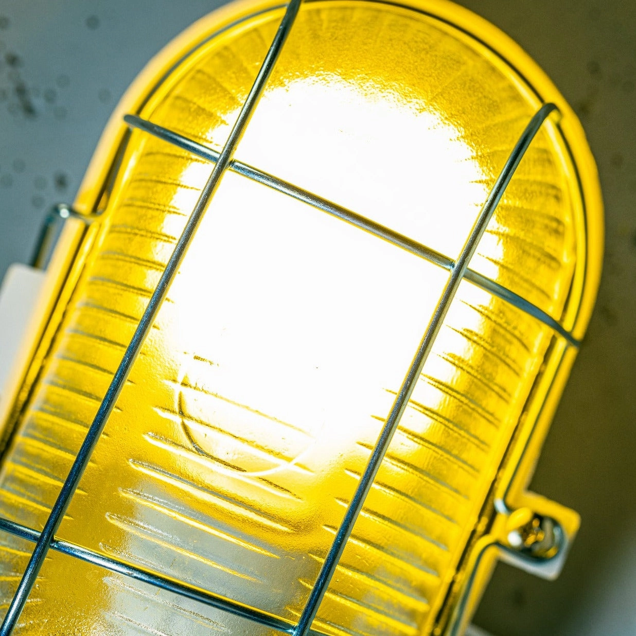 CGC GINA White Oval Metal Cage Bulkhead Wall Or Ceiling Light