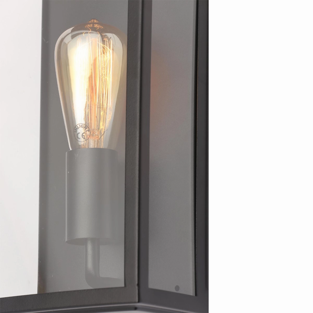 CGC IRENE Black Industrial Box Outdoor Wall Light